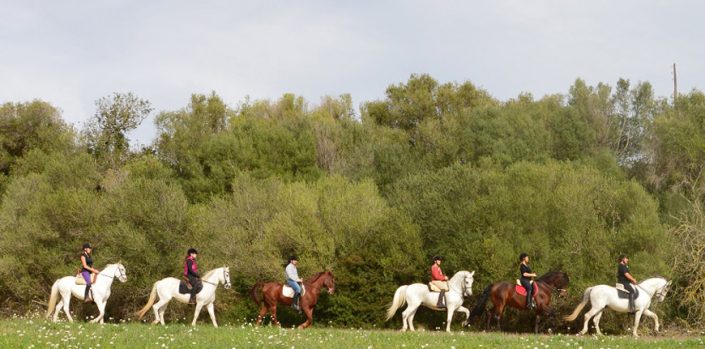 Excursión a caballo 6h 1
