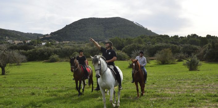 Caballos
