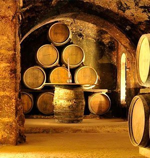 Visita Bodegas