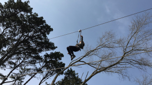 Zip-lines